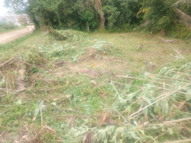 #431 - Terreno para Venda em Caraguatatuba - SP - 1