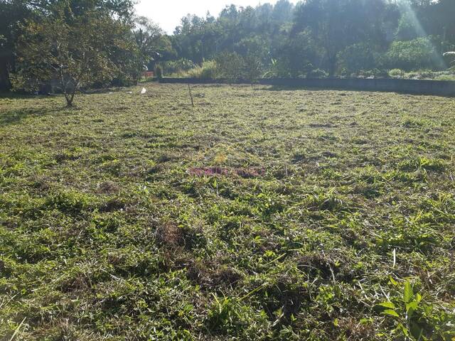 #432 - Área para Venda em São José dos Campos - SP - 1