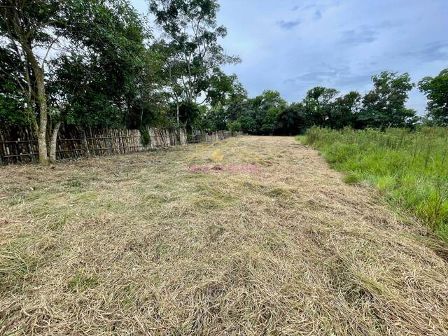 #438 - Terreno para Venda em Taubaté - SP - 3