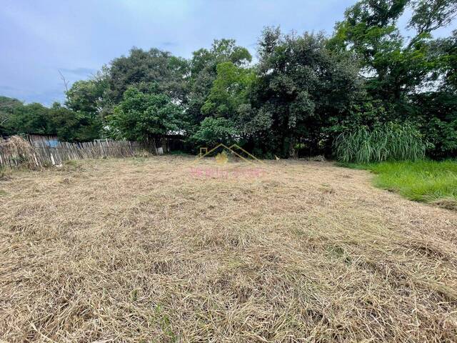 #438 - Terreno para Venda em Taubaté - SP - 1