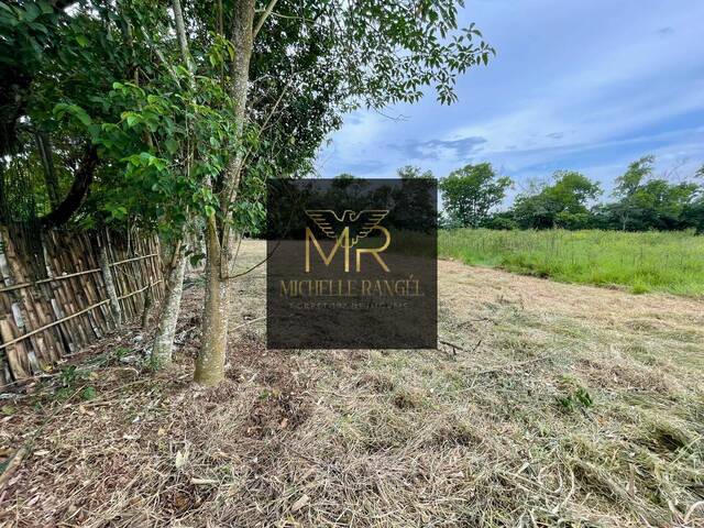 Terreno para Venda em Taubaté - 5